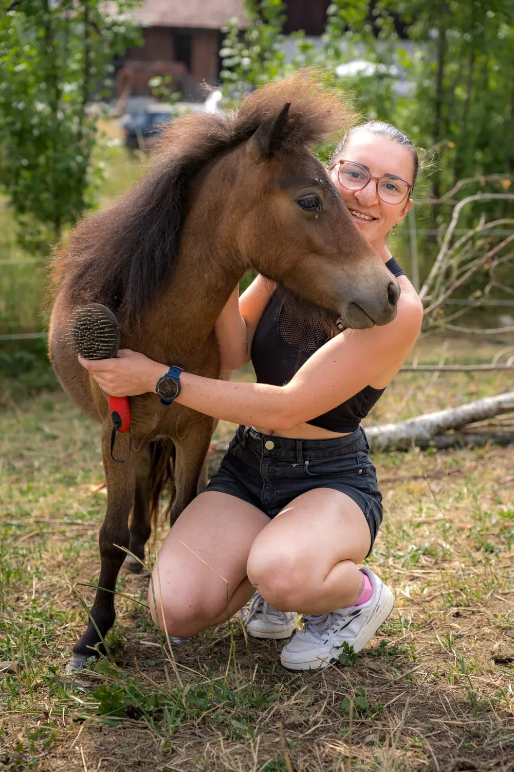 Photographie de moment avec le poney brun.