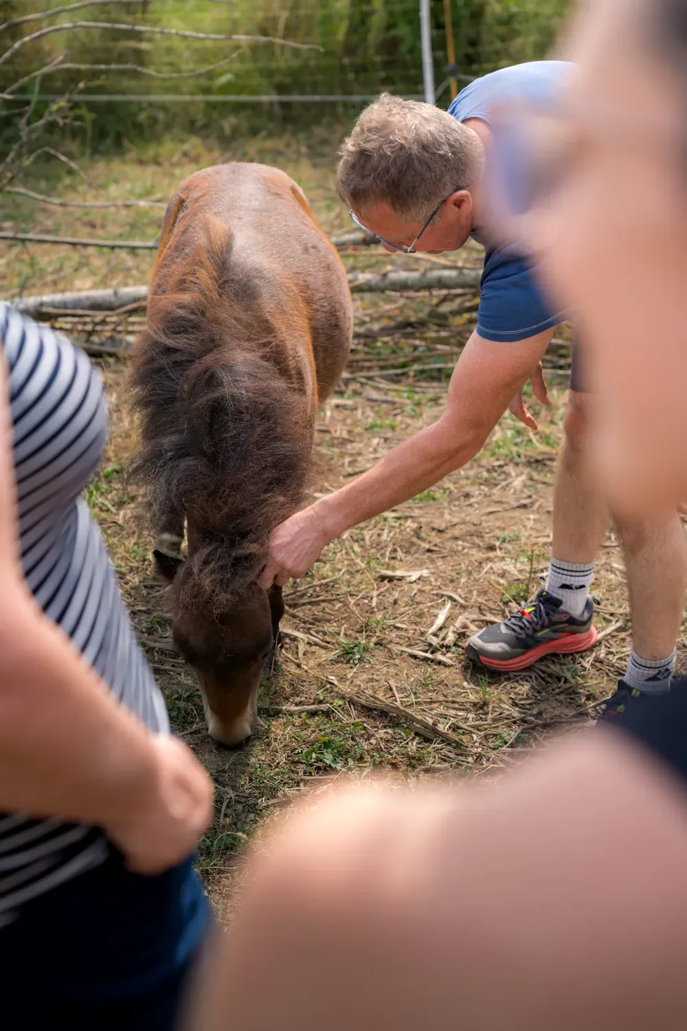 Photographie de rencontre autour du poney.