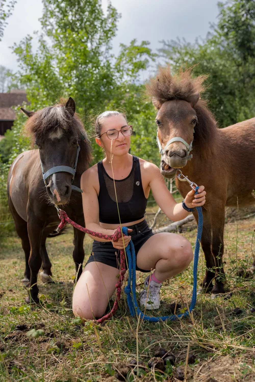 Photographie de photo avec les deux poneys.