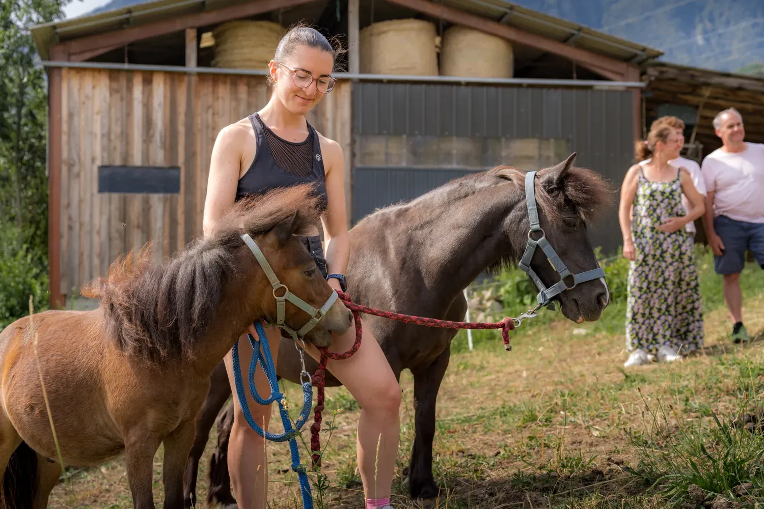 Photographie de poneys tenus en main.