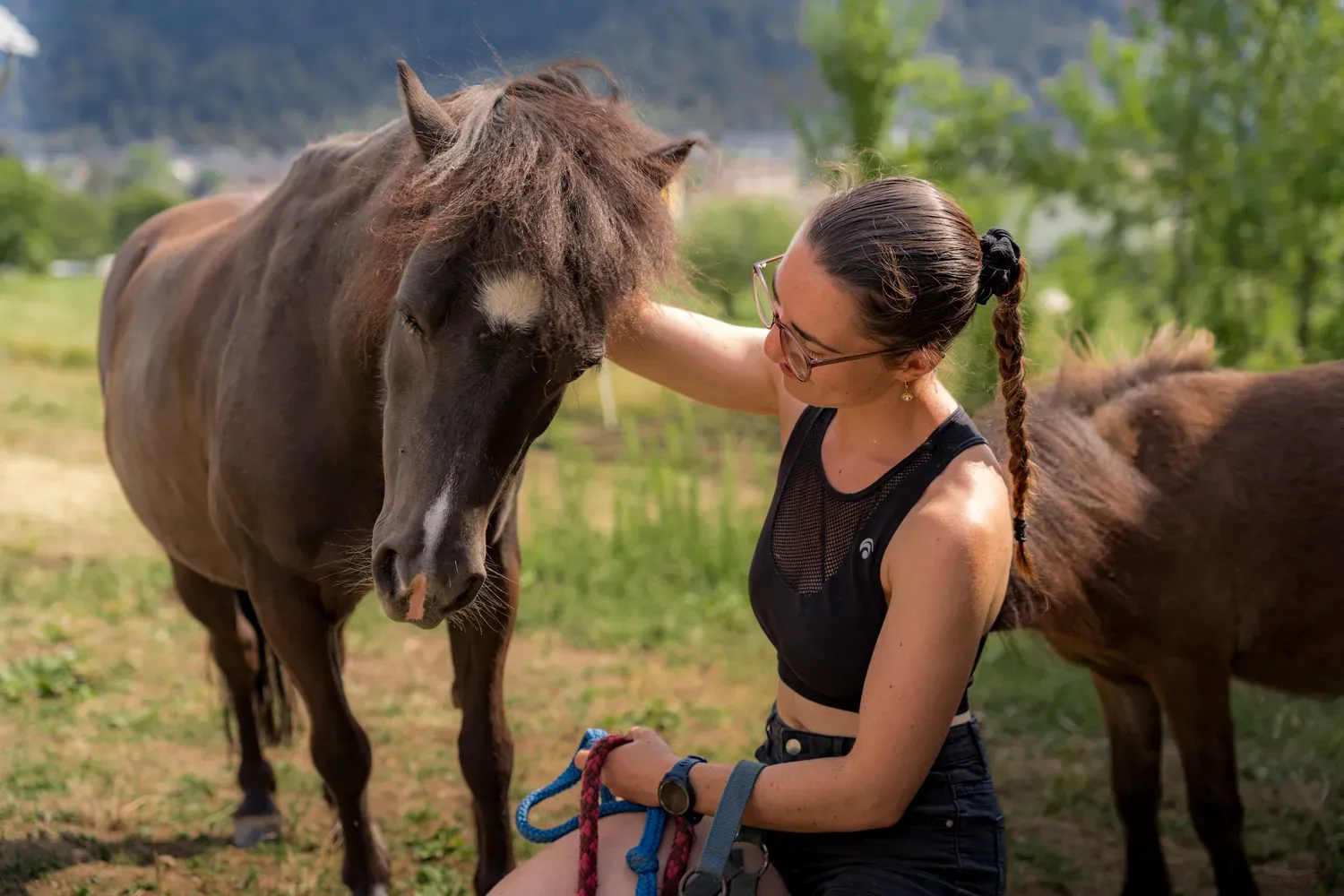 Photographie de caresses au poney.