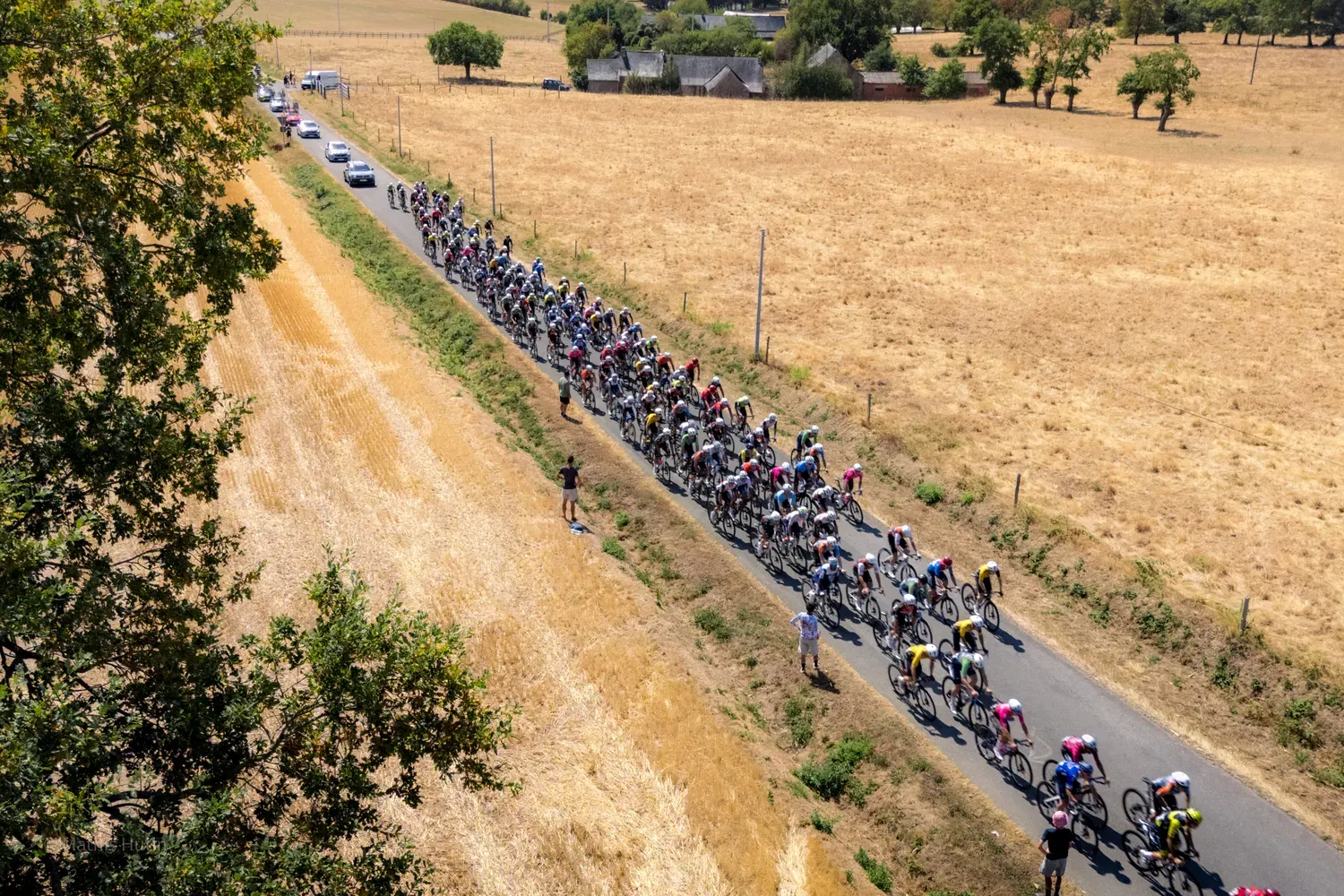 Photographie de peloton entre les champs.