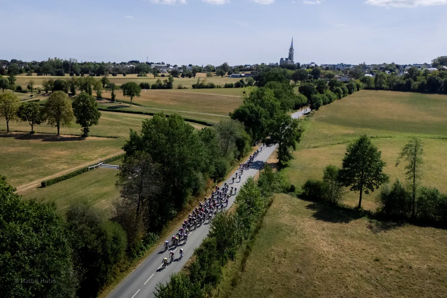Photographie de route bordée d arbres.