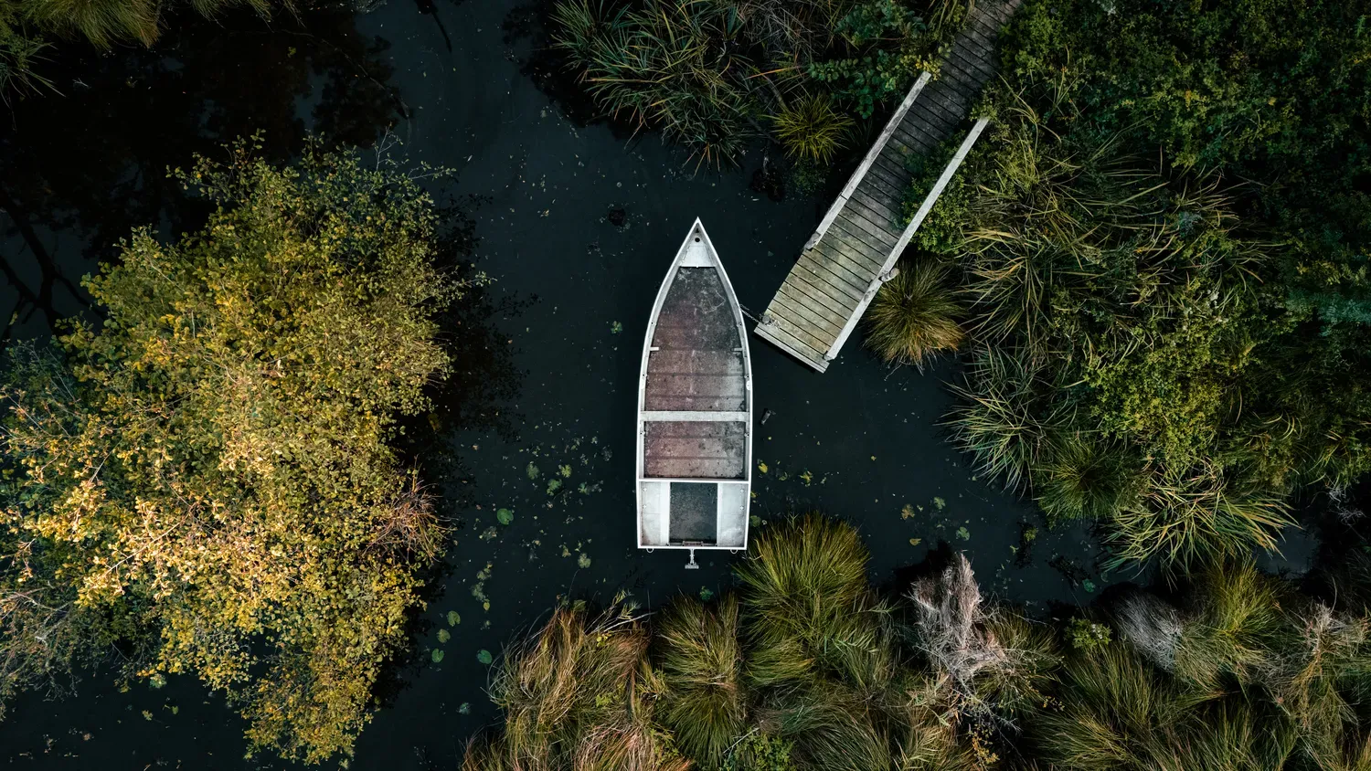 Vue aérienne d’une barque blanche amarrée près d’un ponton en bois, entourée de végétation au bord de l’étang.