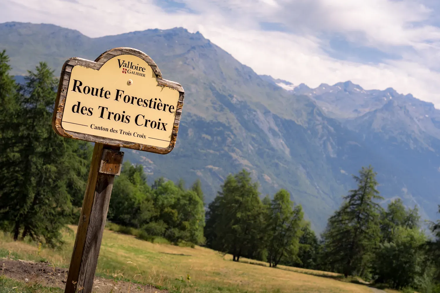 Photographie de route forestière des Trois Croix.