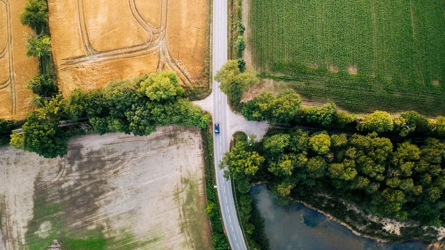 Photographie de route entre champs et forêt.