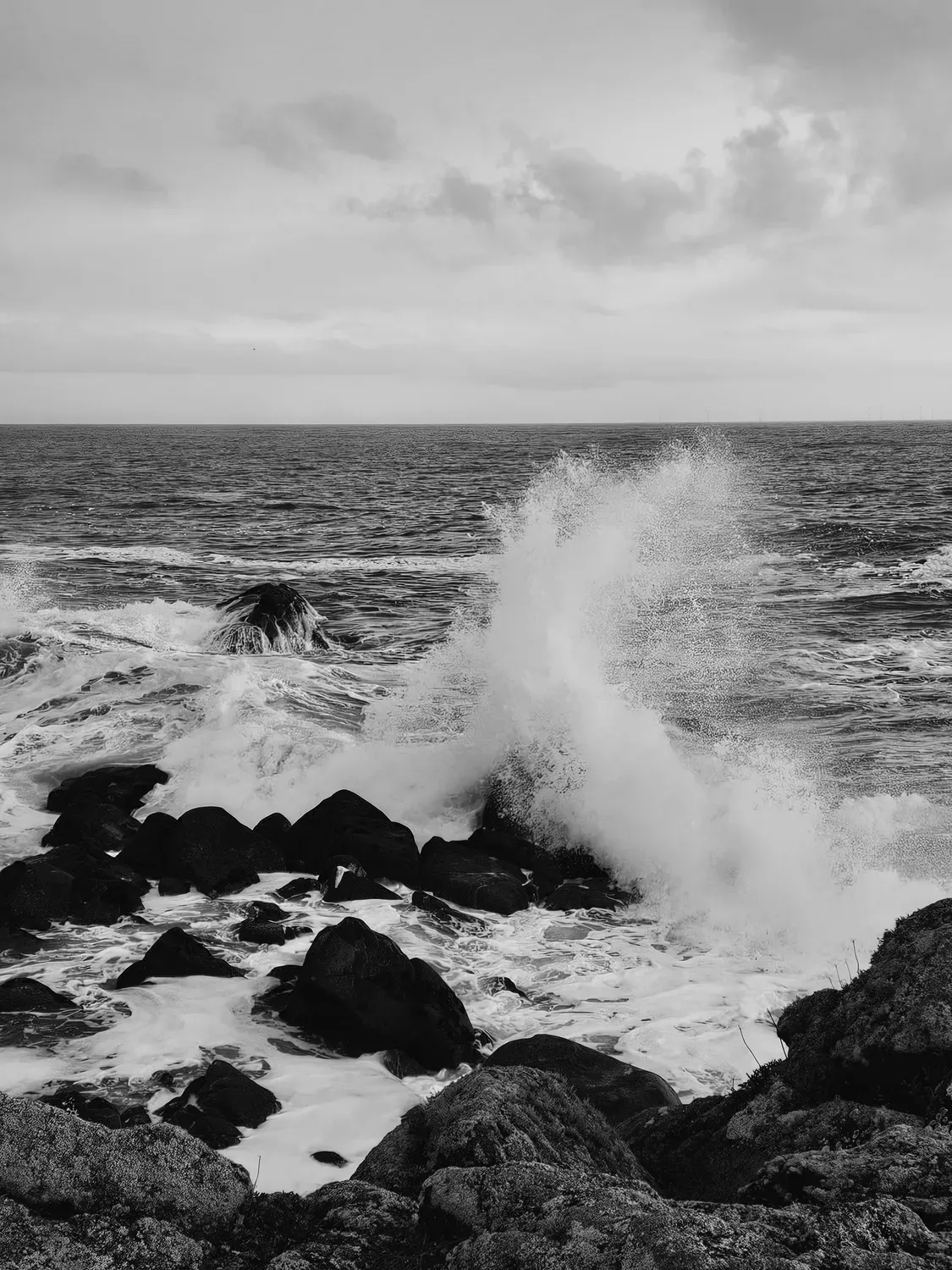 Photographie en noir et blanc de grande vague en noir et blanc.