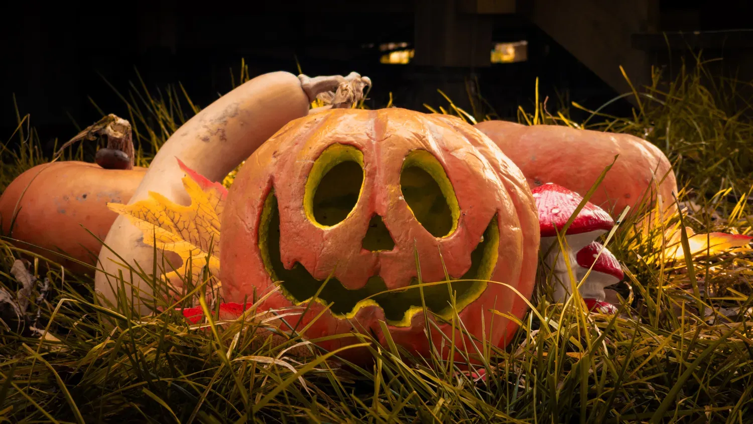 Photographie de citrouille d Halloween.