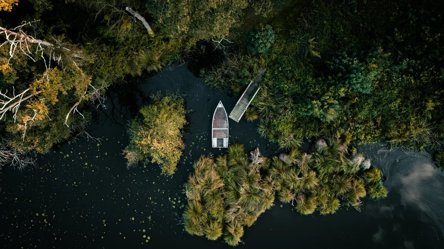 Vue aérienne d’une barque amarrée près d’un petit ponton, au milieu d’un étang entouré d’une végétation dense.