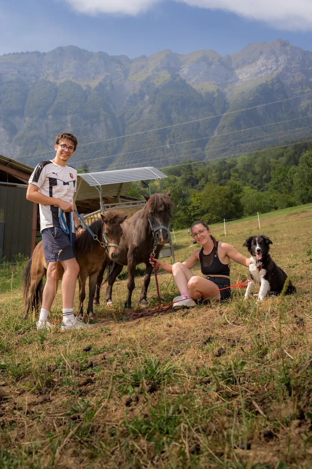 Photographie de pause avec les poneys.