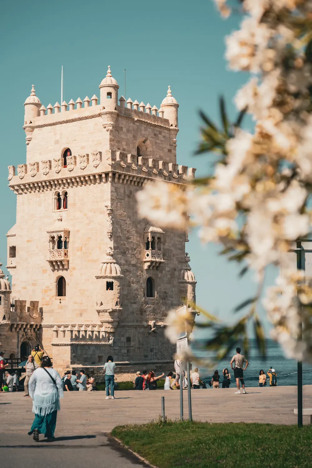 Photographie de la tour de Belem encadree par des fleurs au premier plan.