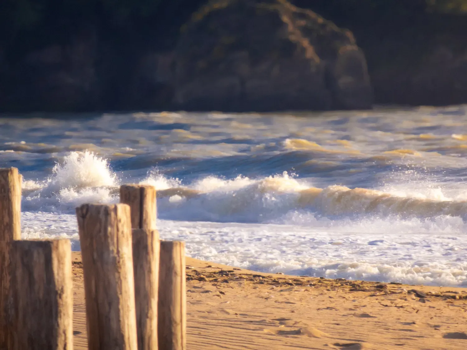 Photographie de écume au bord de la plage.
