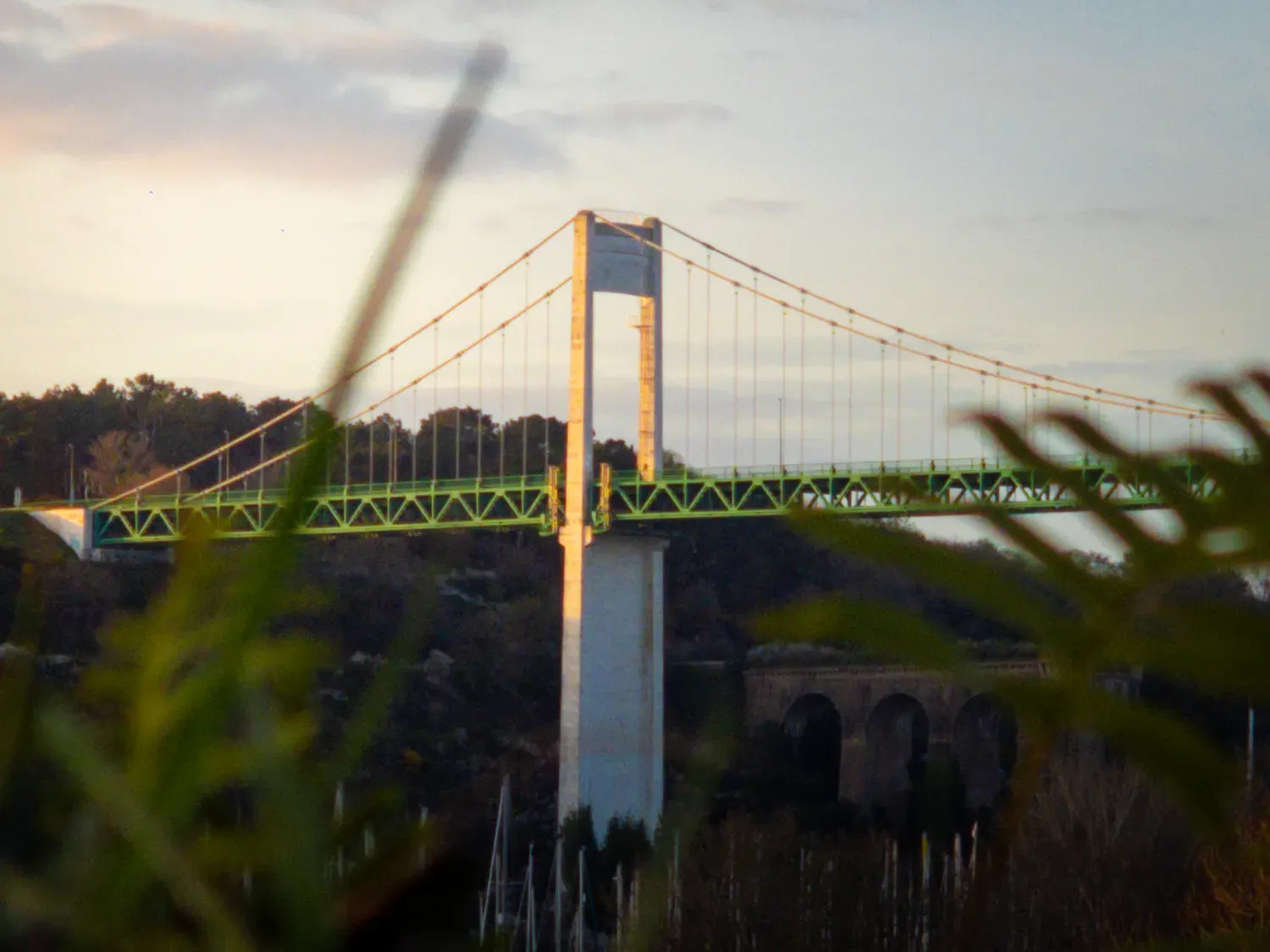 Photographie de pile du pont dans la végétation.