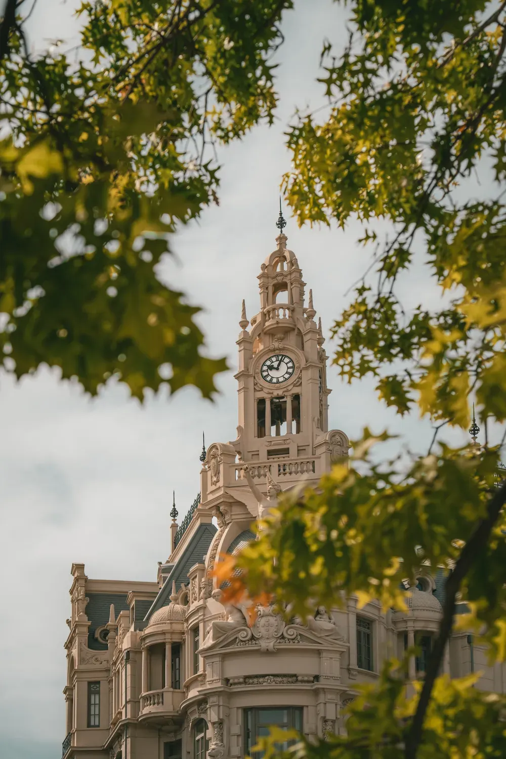 Photographie d un beffroi de Porto partiellement encadre par les feuilles.