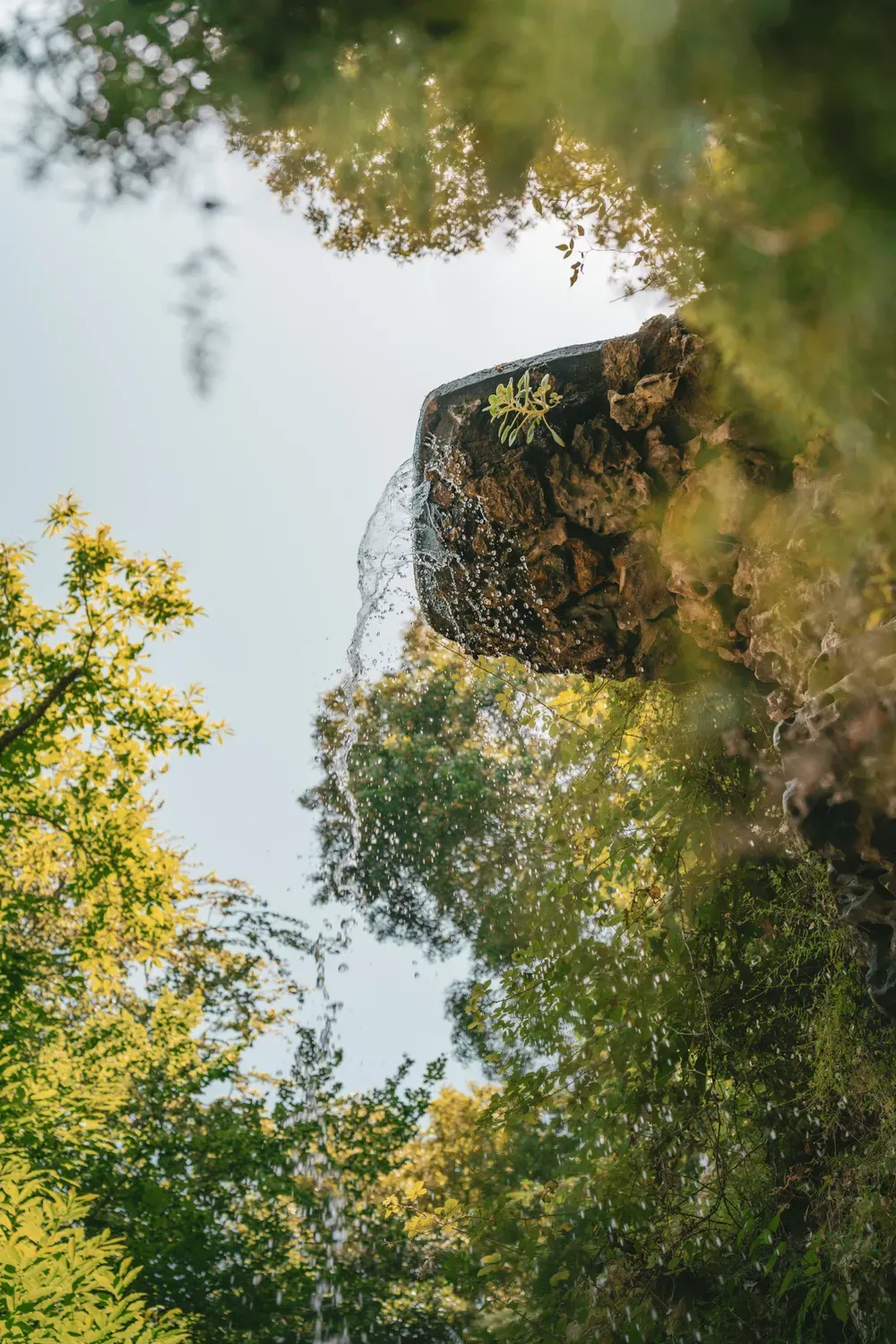 Photographie d une tour de pierre apercue a travers les branches.