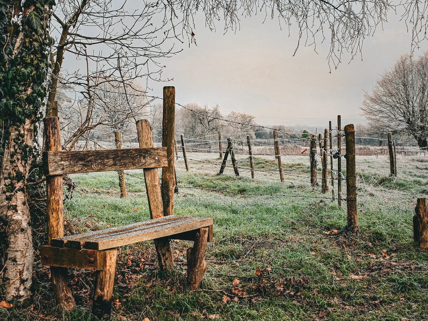 L'hiver en campagne - (Le Pertre)