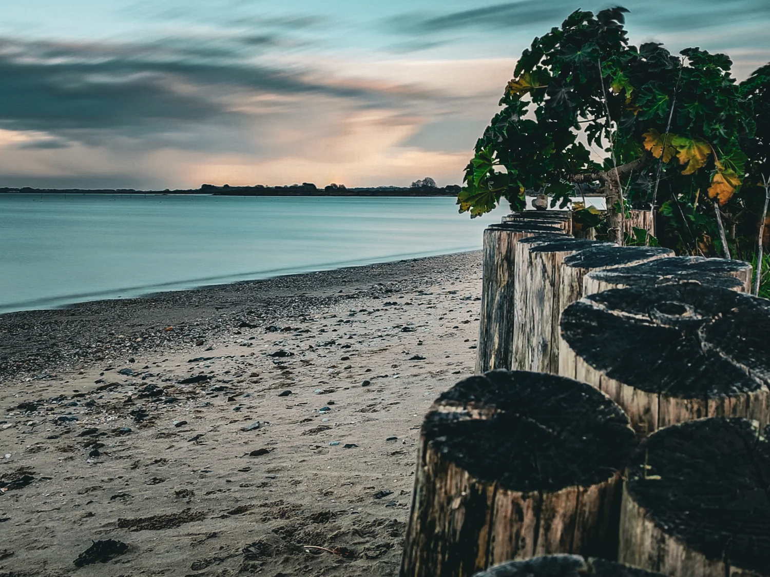 Rondins de bois au bord de la plage - Traict de Merquel (Kercabellec)