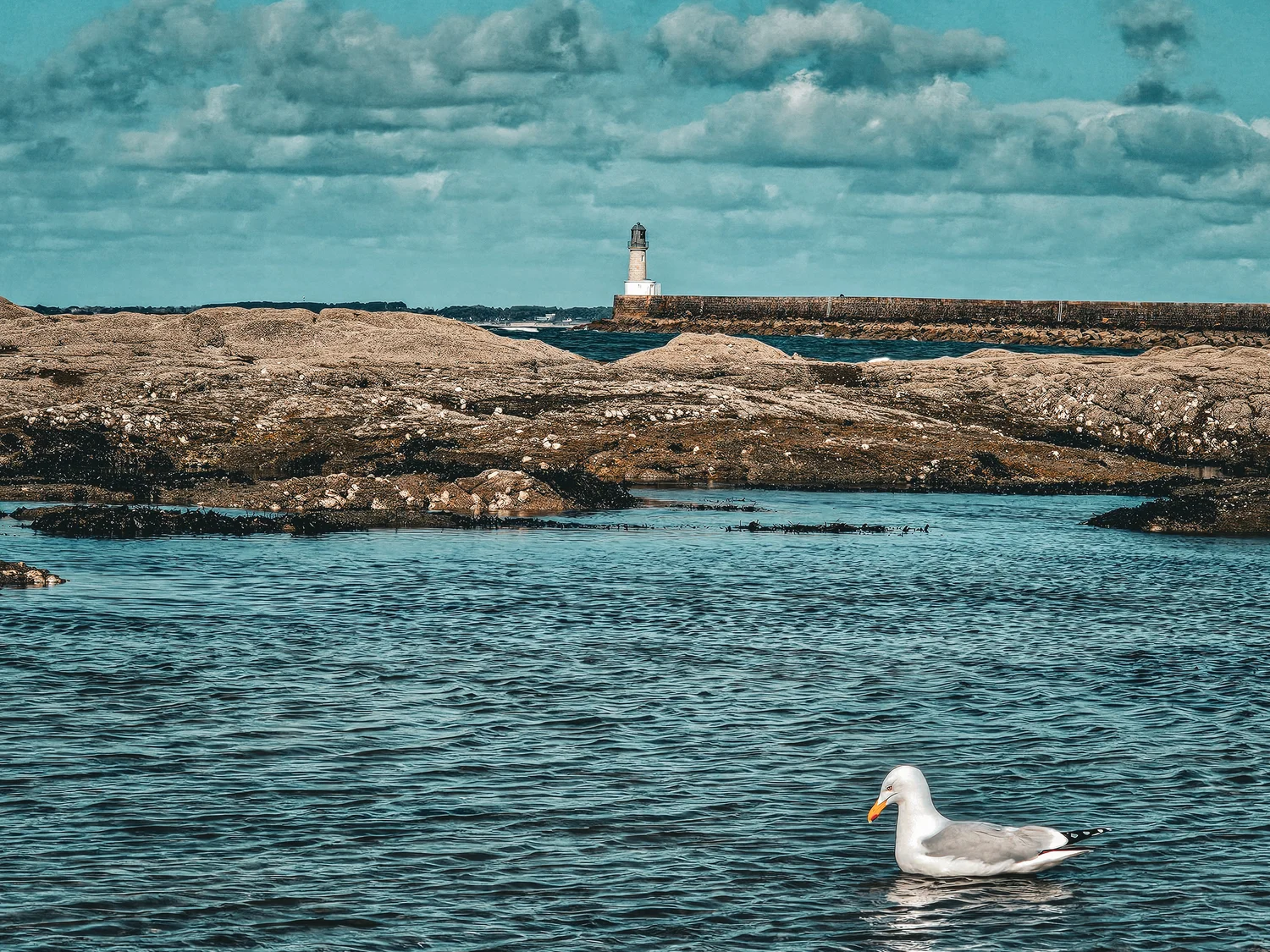 Depuis la plage - Phare du Tréhic (Le Croisic)