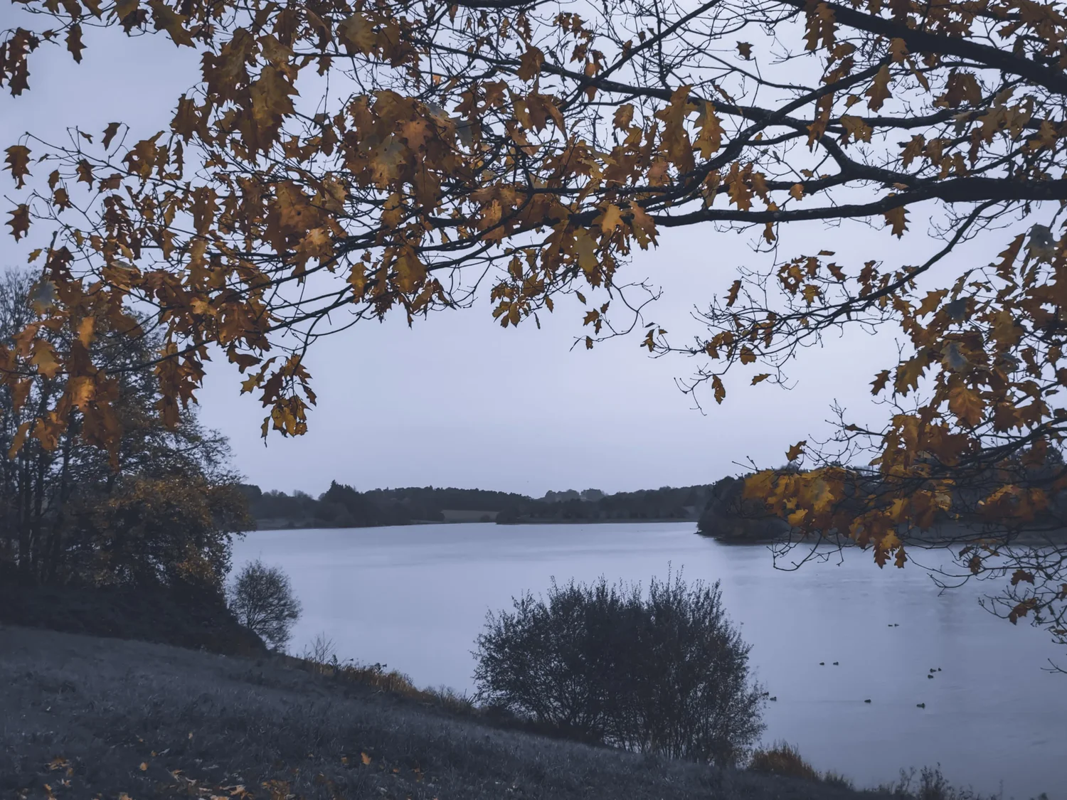 L'automne - La Valière (Erbrée)